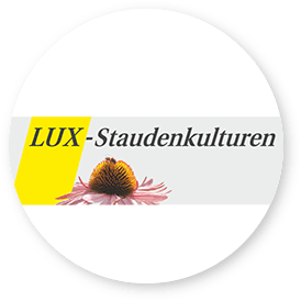LUX Staudenkulturen
